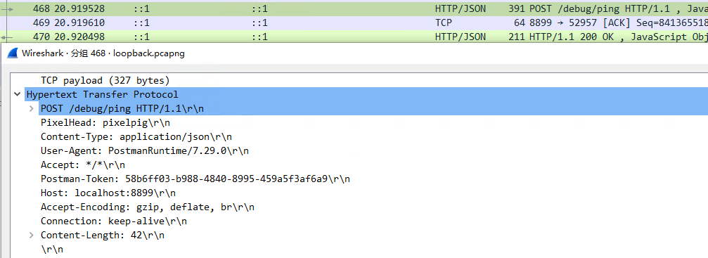 WireShark parse